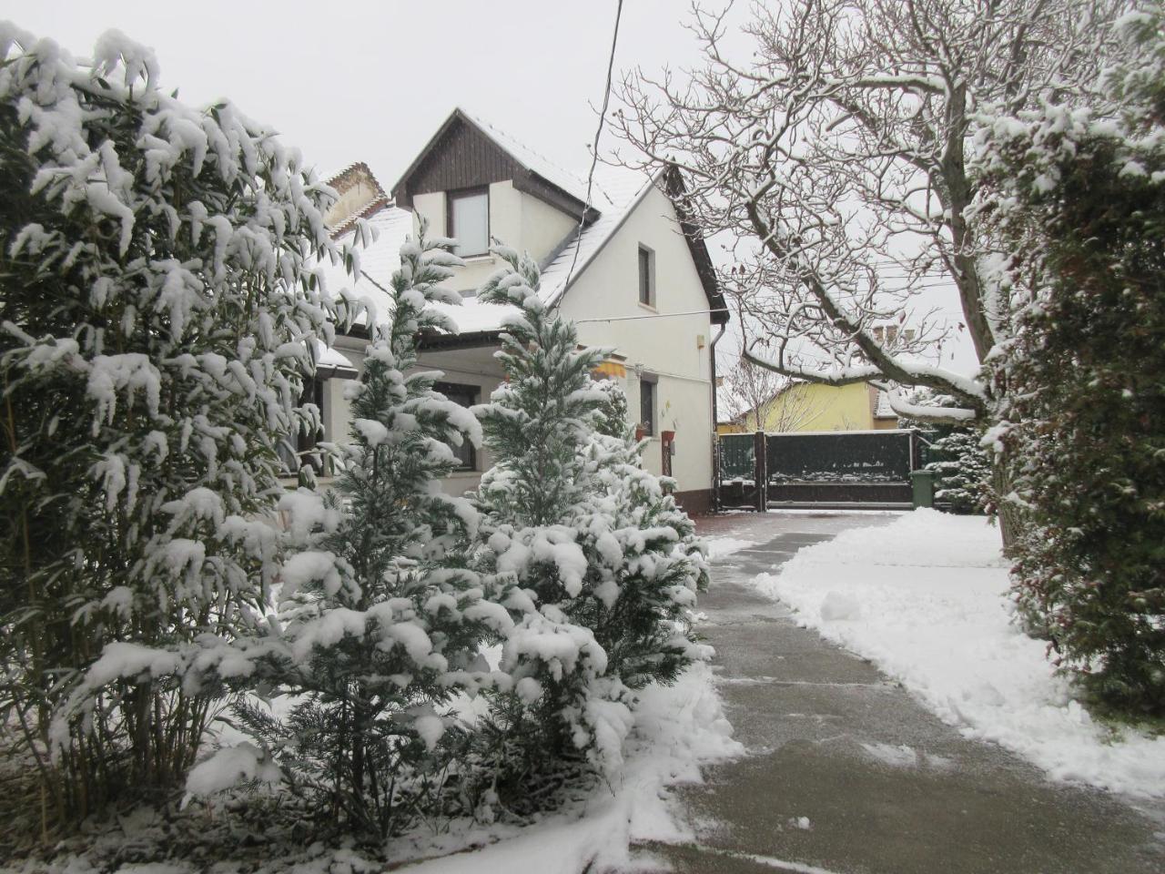 Sissi Residence With Free Parking Lot Budapešť Exteriér fotografie